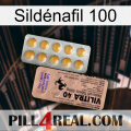 Sildénafil 100 41